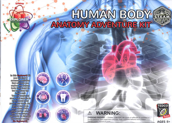 Human Body Adventure
