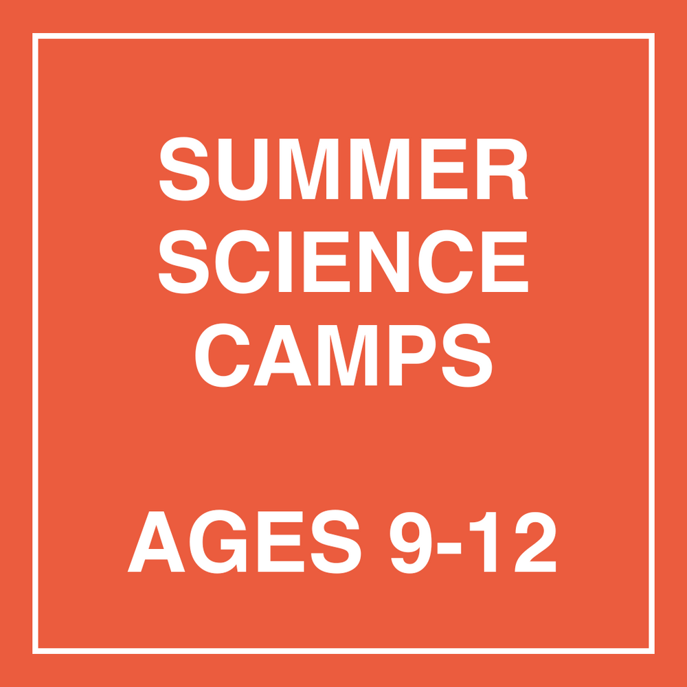 Summer Science Camps - Age 9-12