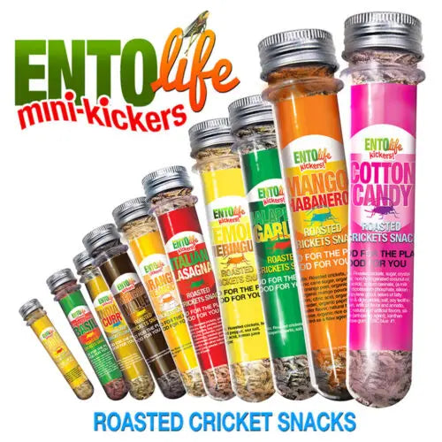 Mini-Kickers Flavoured Cricket Snacks