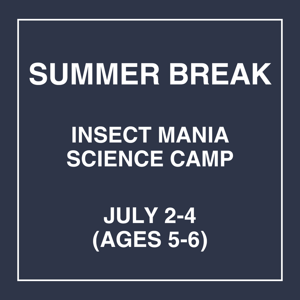 Insect Mania - July 2-4