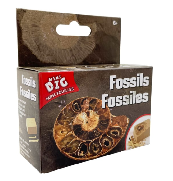 Dig-It-Out ~ Fossils