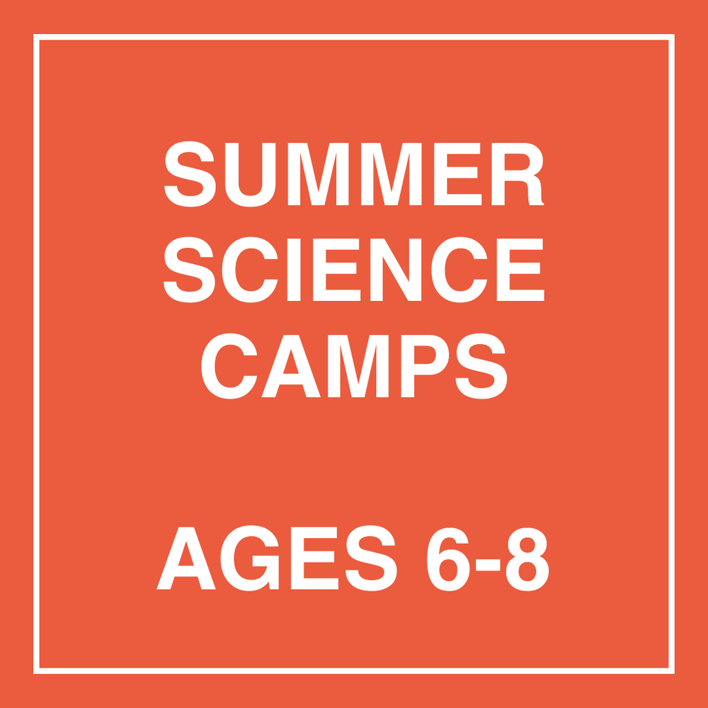 Summer Science Camps - Age 6-8