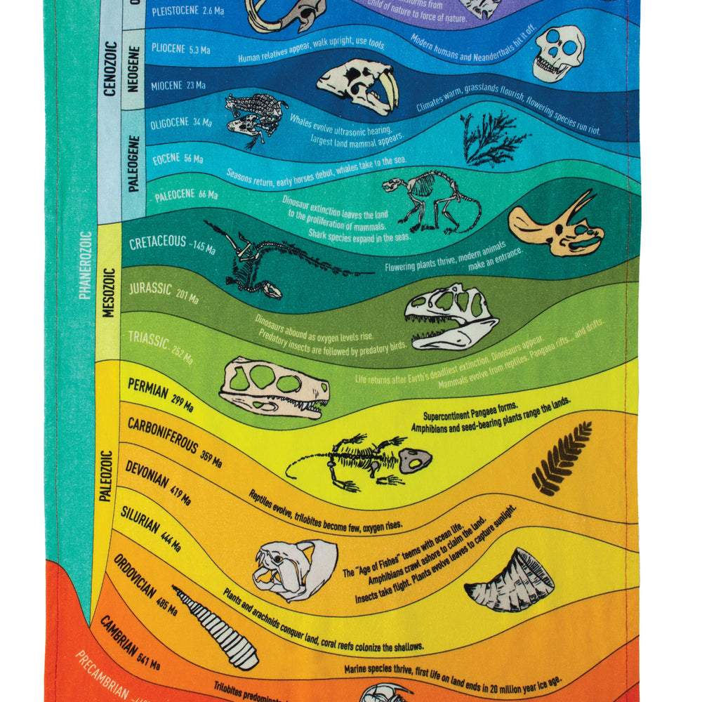 
                  
                    Tea Towel - Geologic Time
                  
                