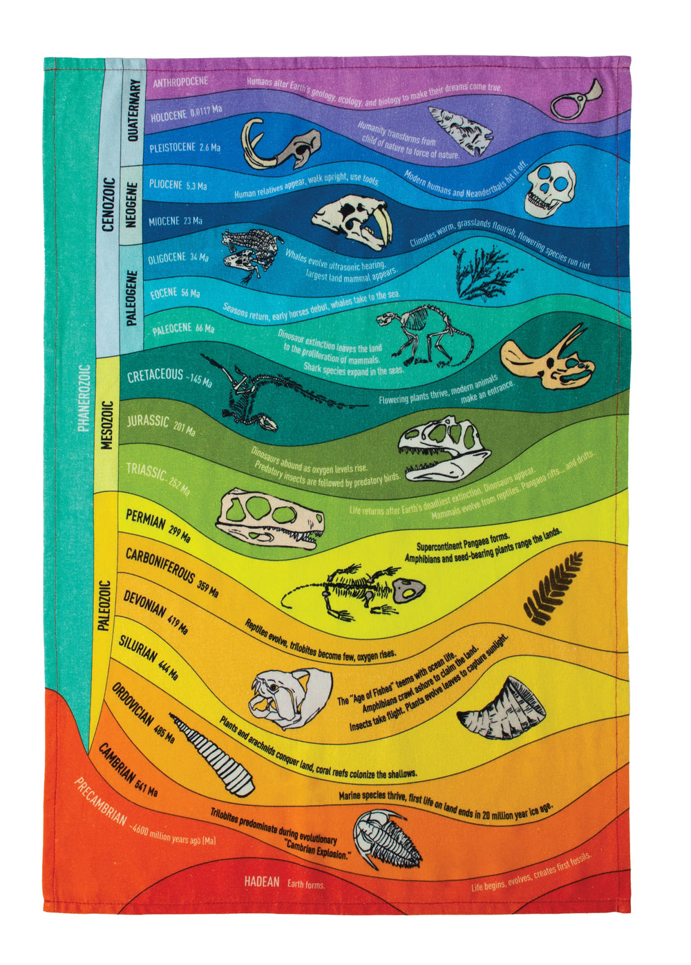 Tea Towel - Geologic Time