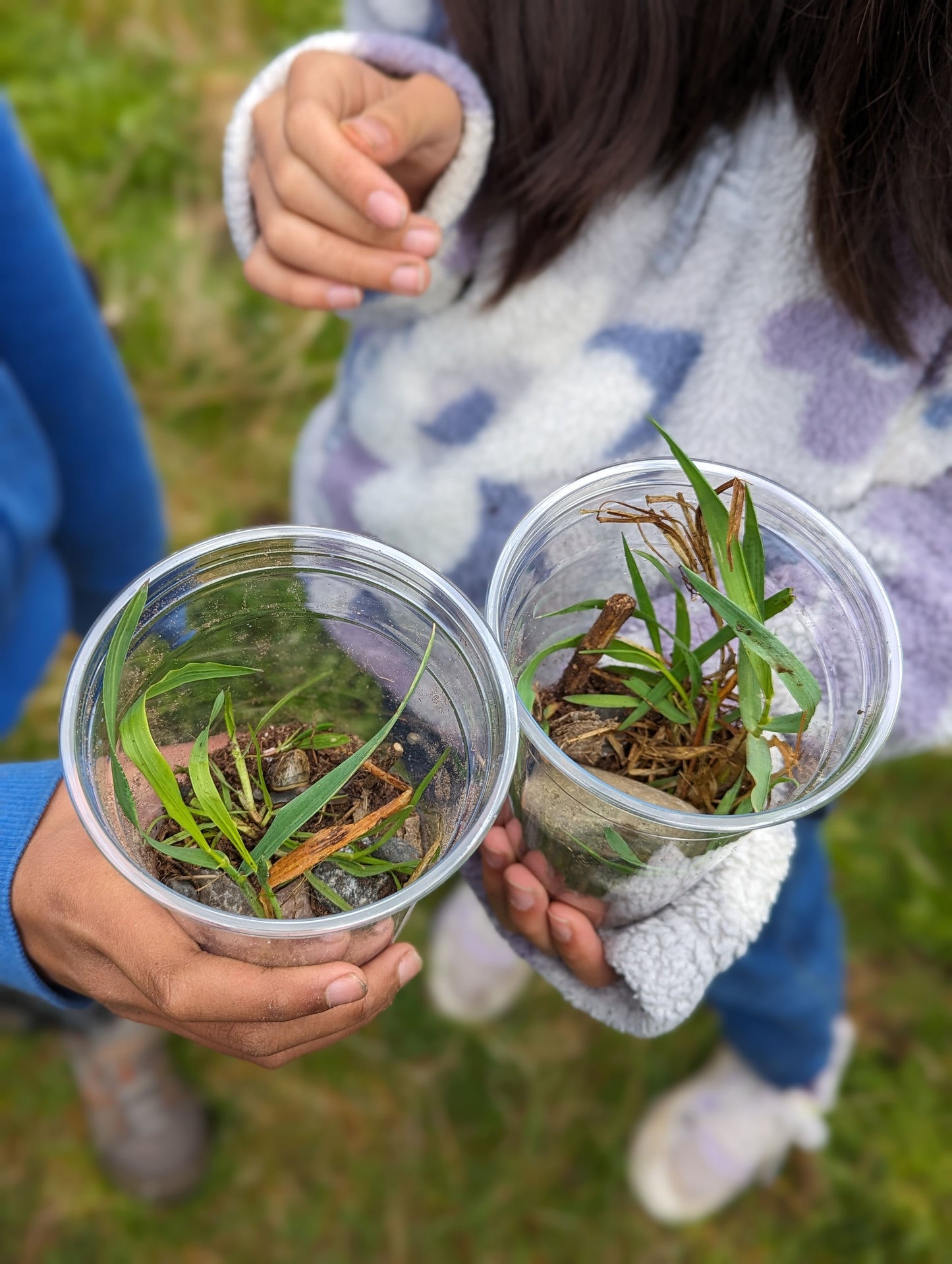 Sensing and Responding: Biomes