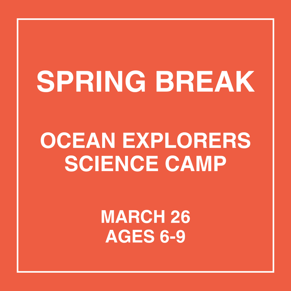 Ocean Explorers - March 26th