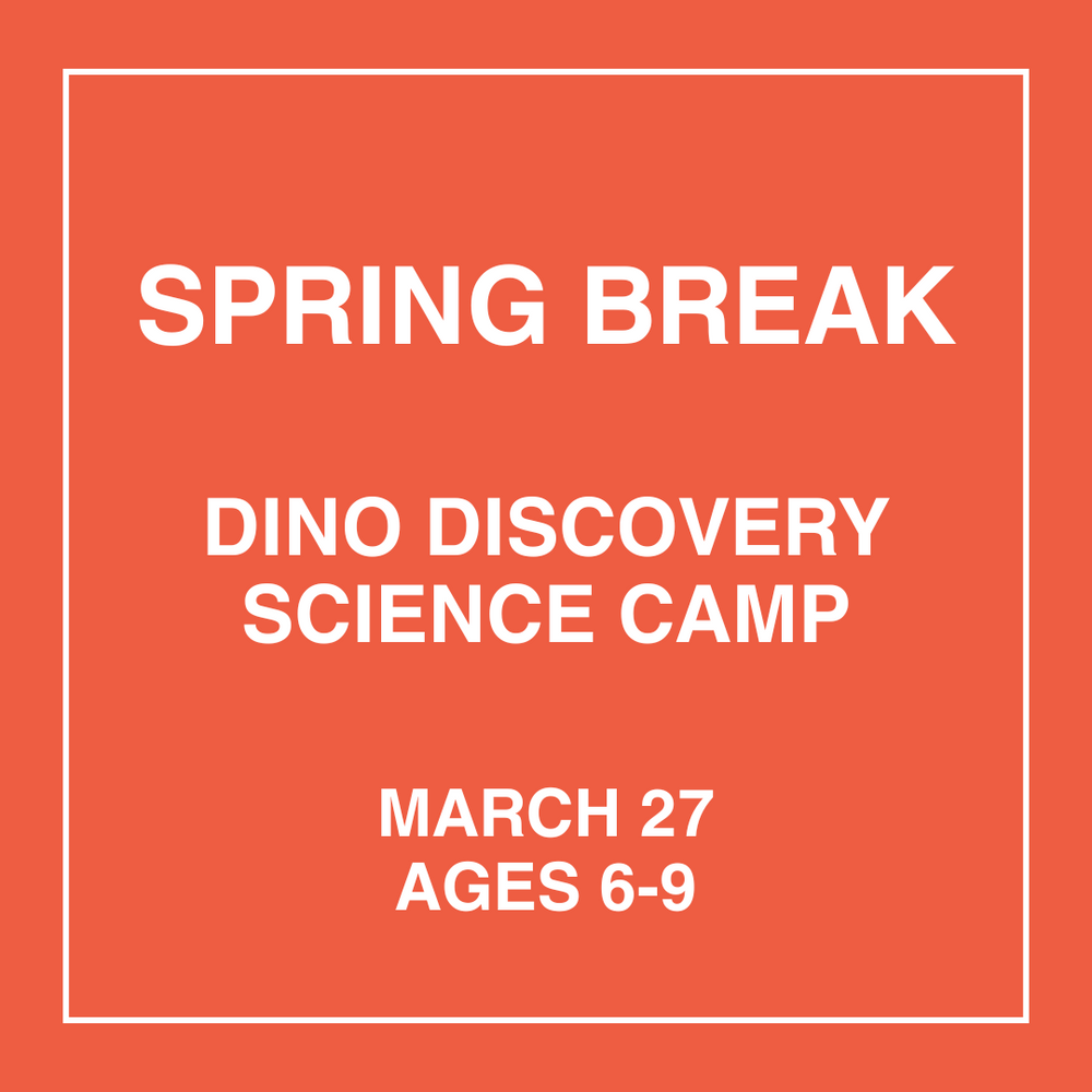 Dino Discovery - March 27th