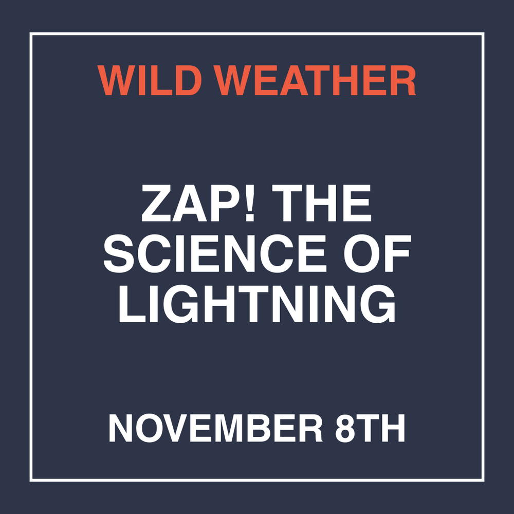 Wild Weather: Zap! The Science of Lightning