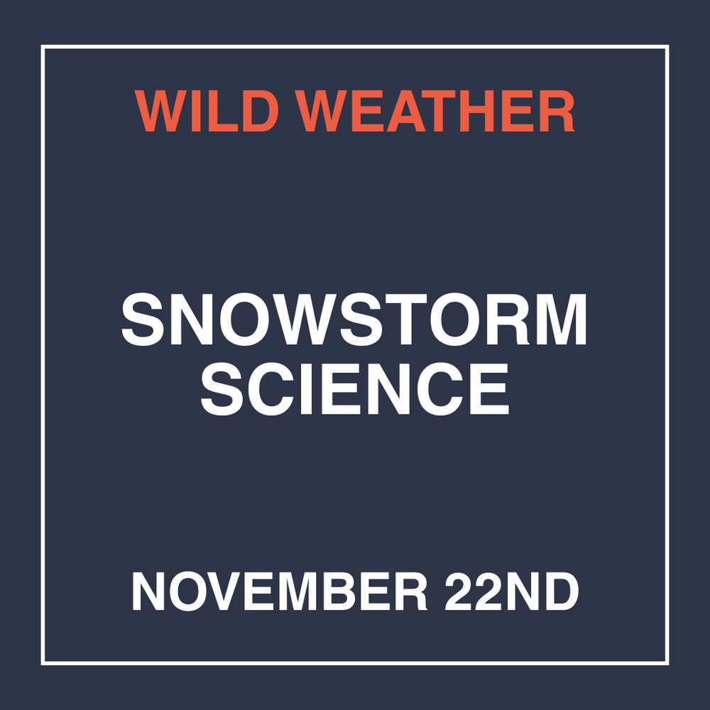 Wild Weather: Snowstorm Science