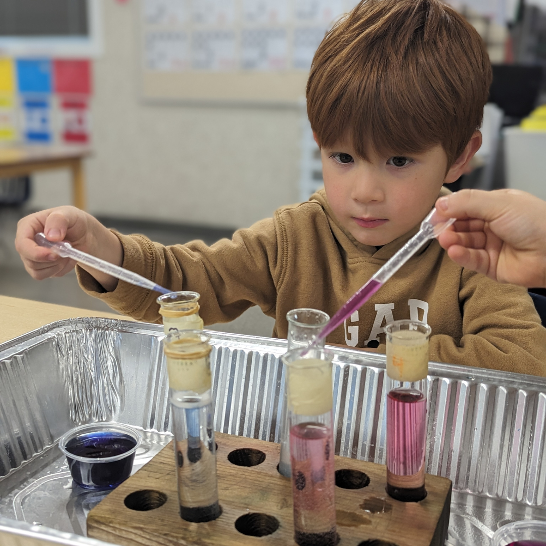 Little Scientist