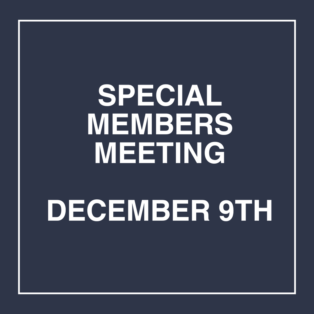 Extraordinary General Meeting