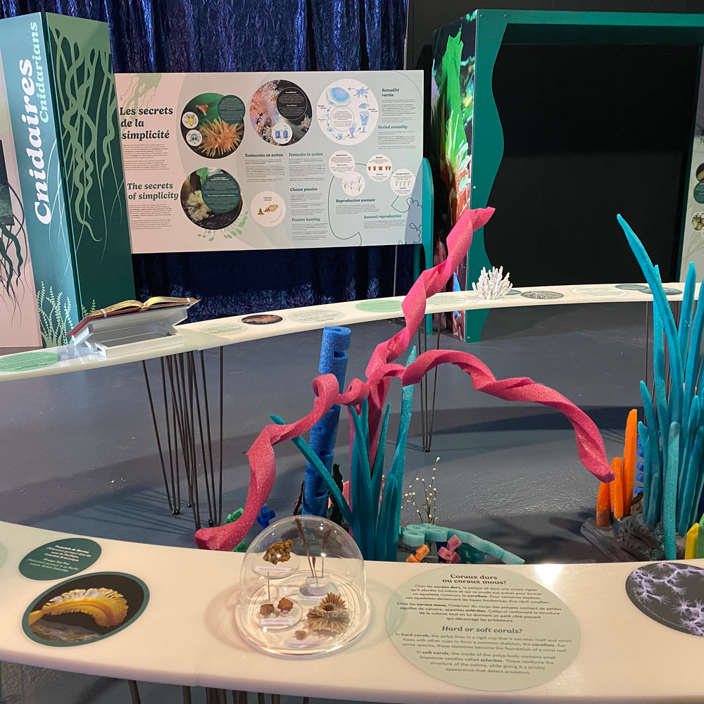 Okanagan Science Centre 