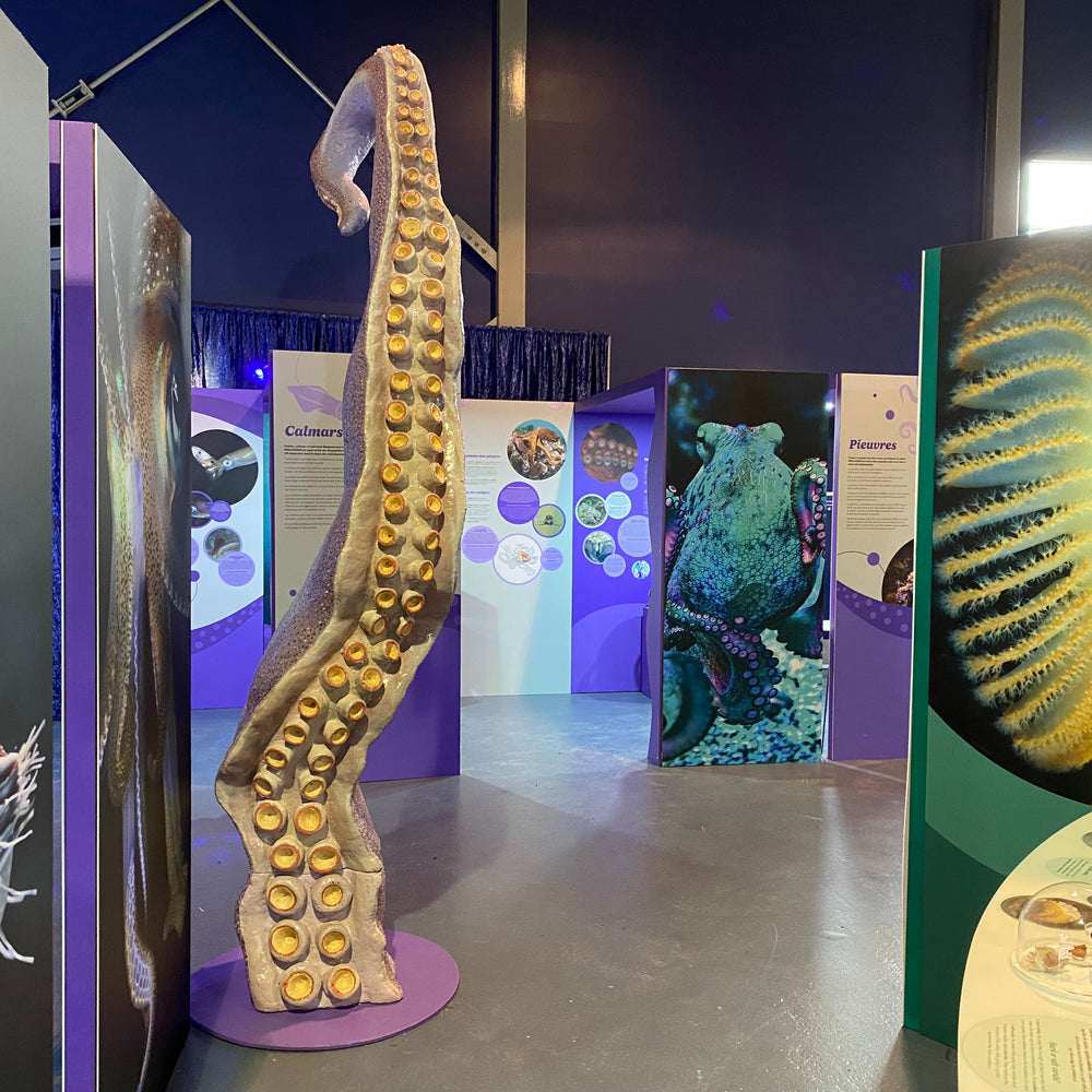 Okanagan Science Centre 