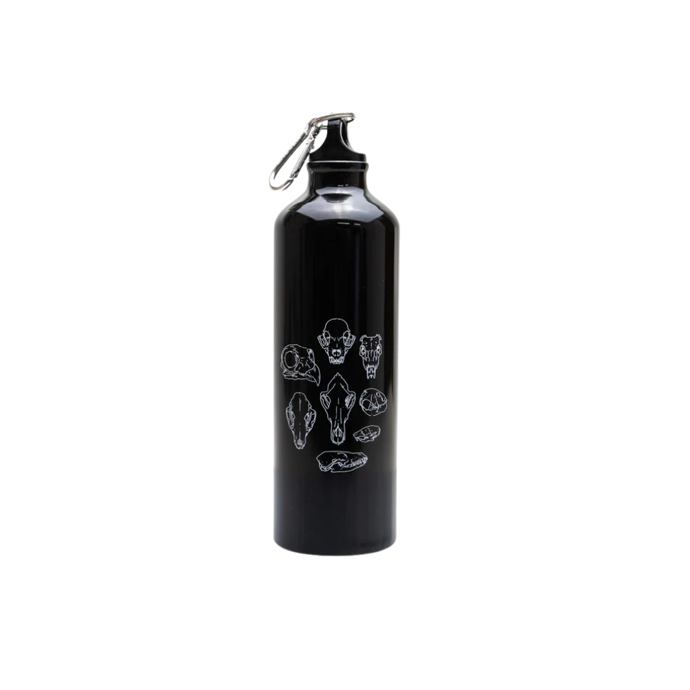 Skulls Water Bottle