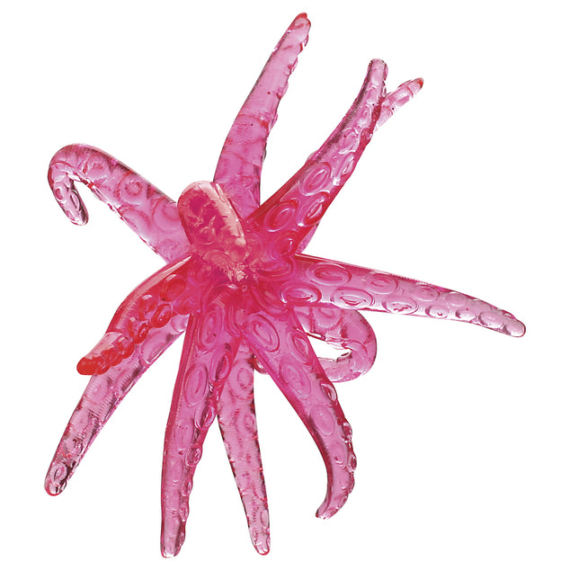 
                  
                    Sticky Starfish
                  
                