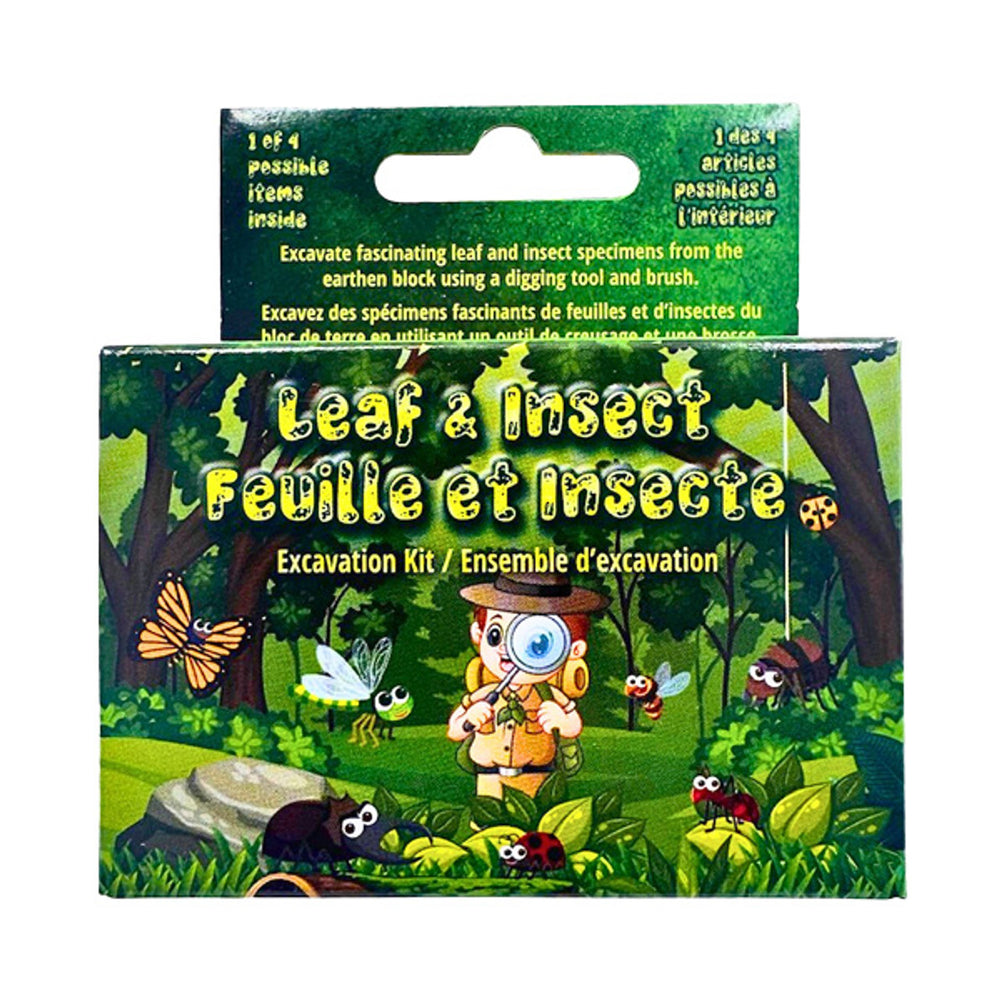 Leaf & Insect Excavation Kit