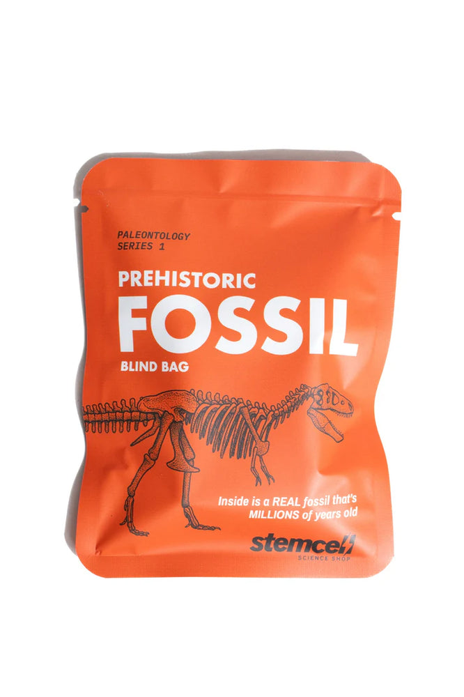 
                  
                    Prehistoric Fossil Blind Bag
                  
                