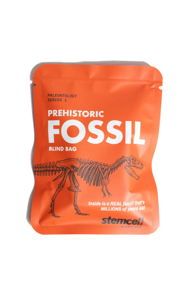 Prehistoric Fossil Blind Bag