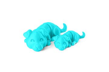 Curious Critters