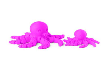 Curious Critters